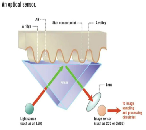 光學指紋傳感器原理